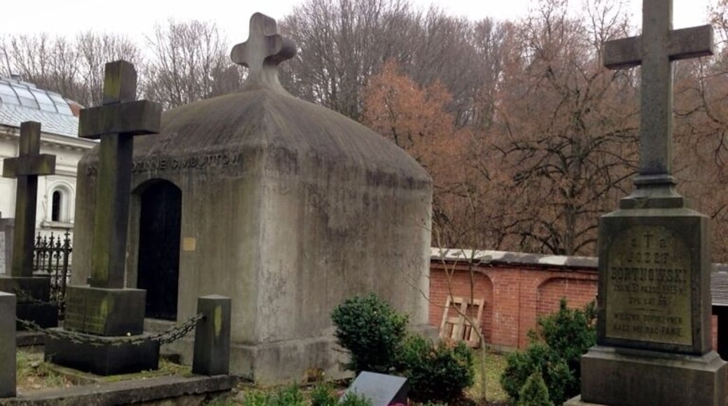 Rasos cemetery in Vilnius, old and impressive...