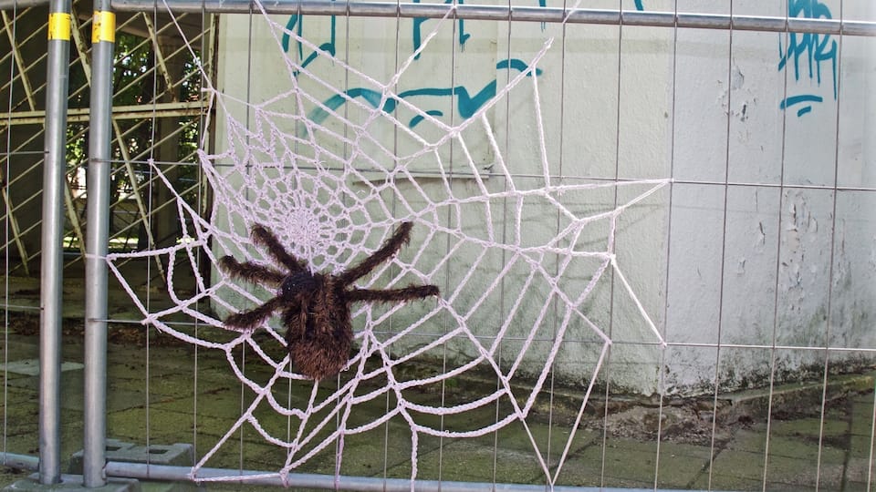 A spider on a web behind a metal fence with graffiti on the wall.