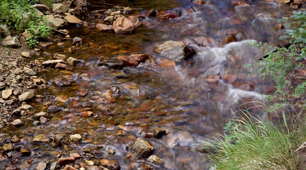 South Central Colorado showing a river or creek