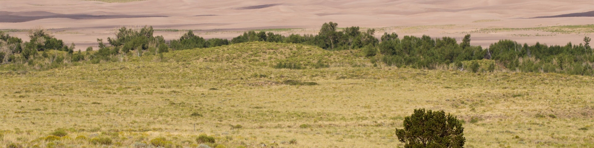 South Central Colorado featuring desert views, landscape views and tranquil scenes