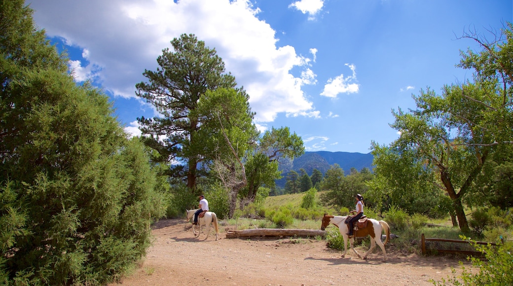 South Central Colorado featuring land animals and tranquil scenes as well as a couple