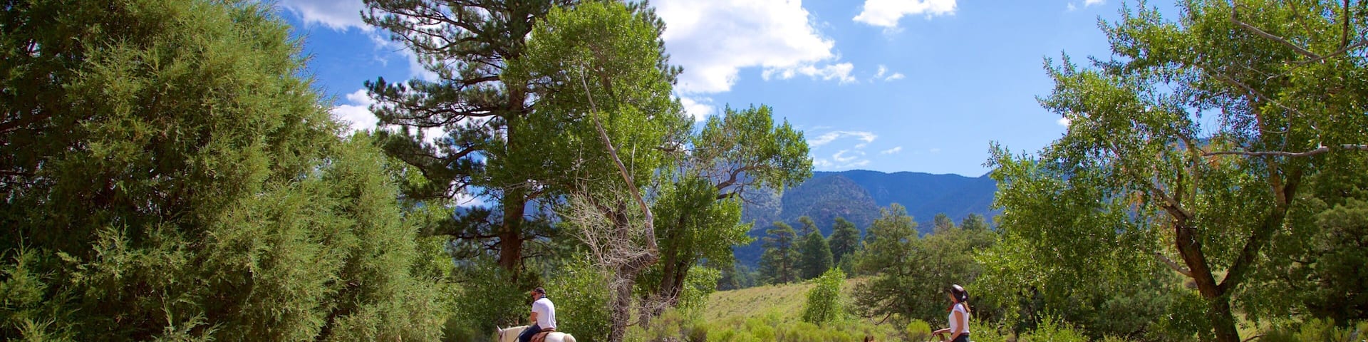 Two people riding horses on a dirt path surrounded by trees and mountains in the background.