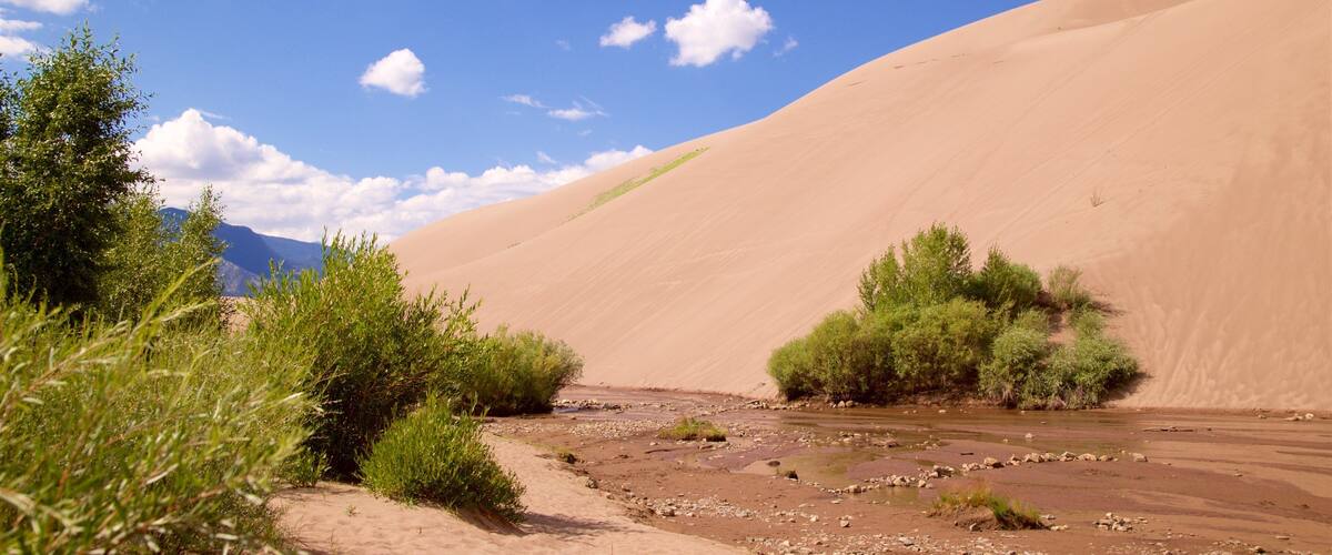 โคโลราโดกลางตอนใต้ เนื้อเรื่องที่ ทิวทัศน์ทะเลทราย