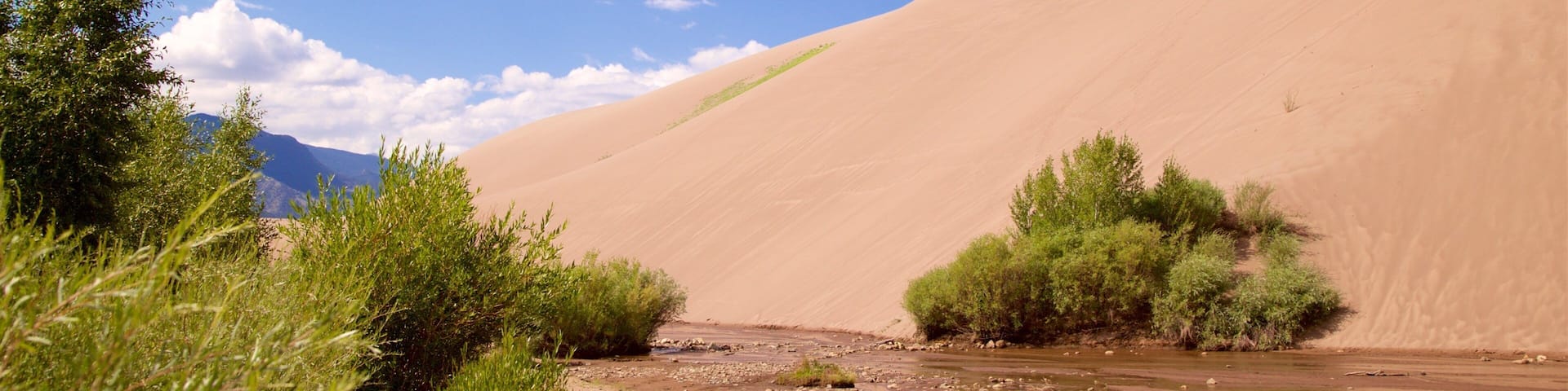 South Central Colorado showing desert views