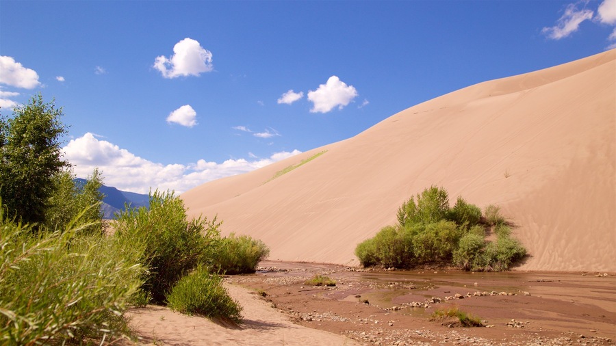 South Central Colorado showing desert views