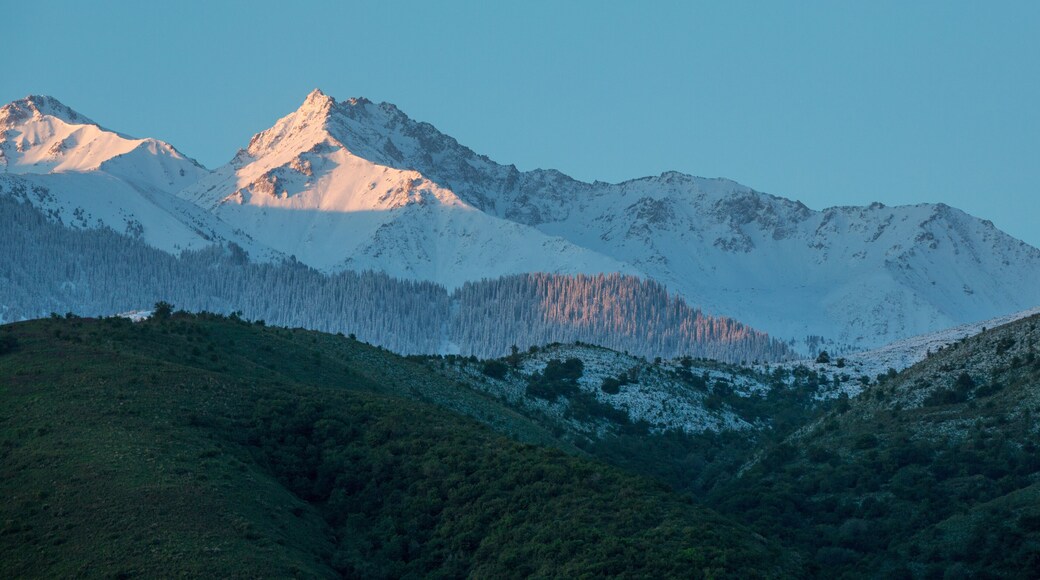 Bắc Colorado Springs