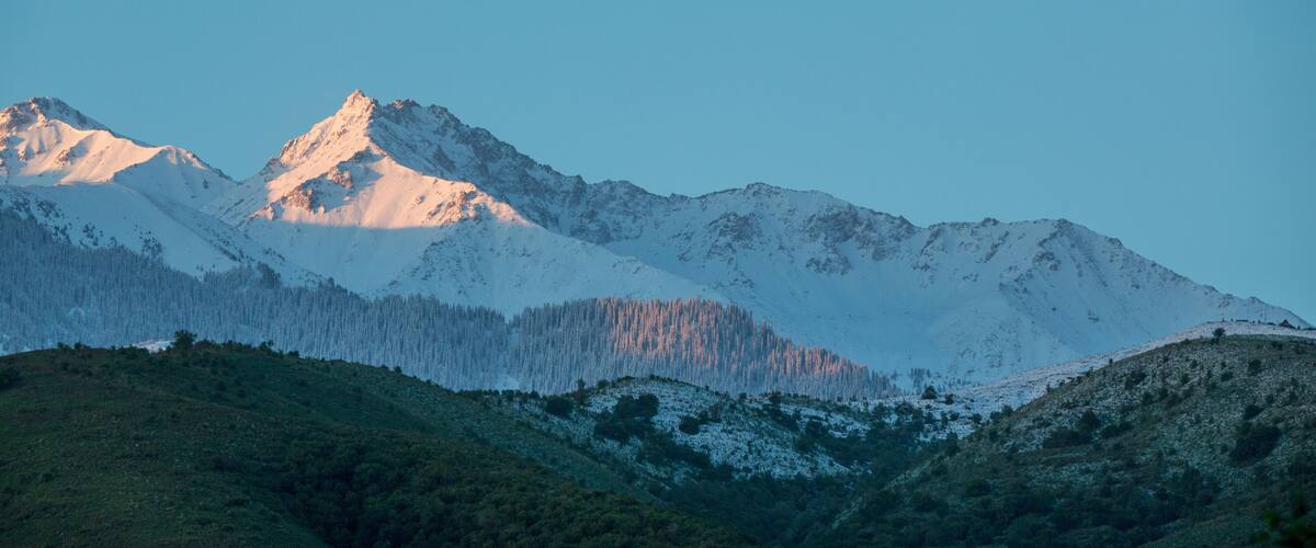 mountains in the snow and green trees
