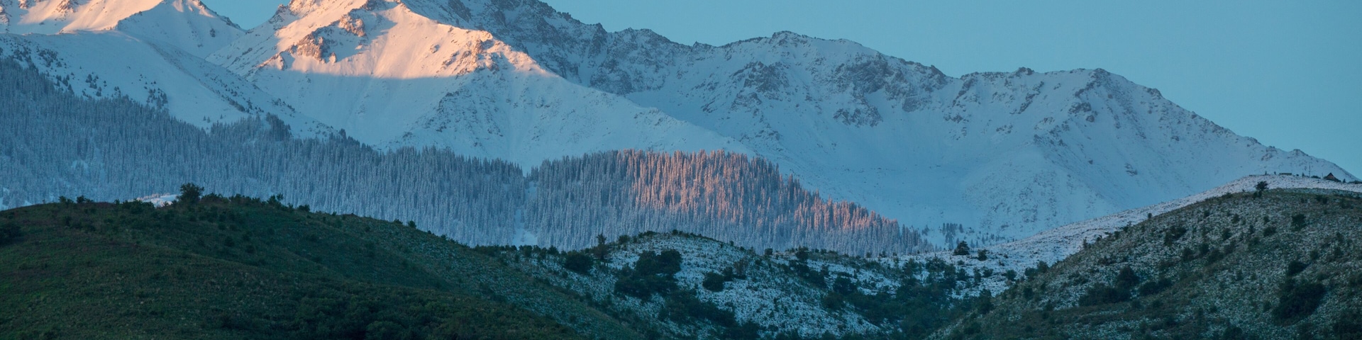 mountains in the snow and green trees