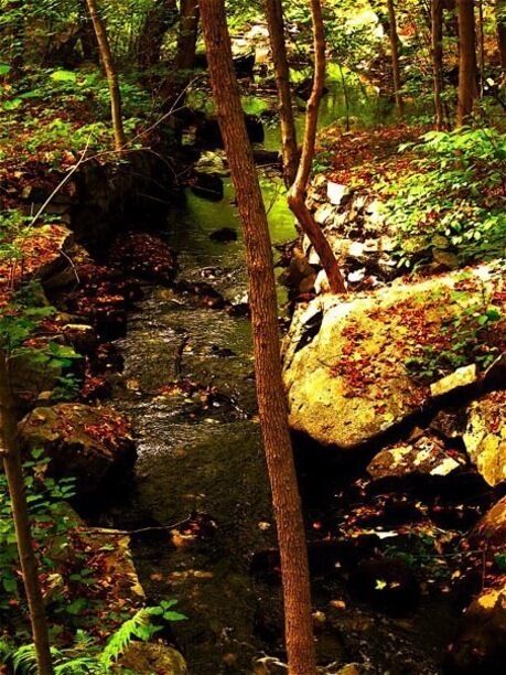 Yeah:::: this is in New Jersey.