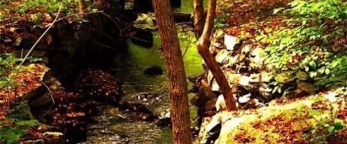 Yeah:::: this is in New Jersey.