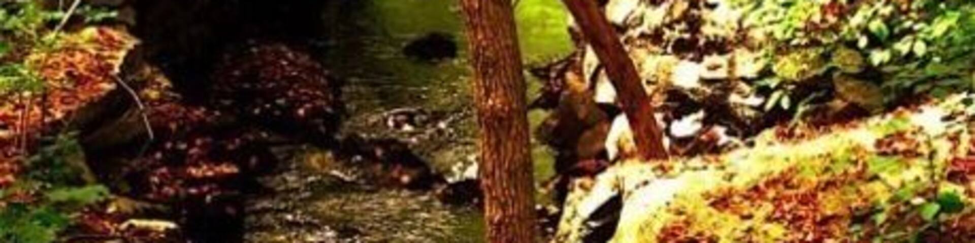 Yeah:::: this is in New Jersey.