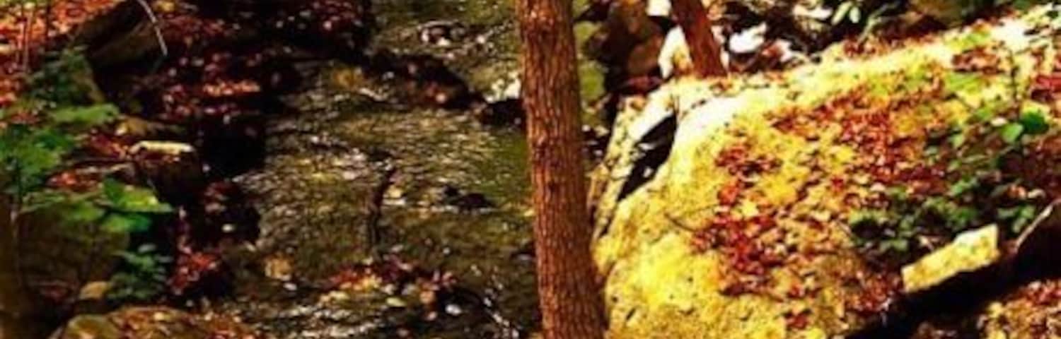 Yeah:::: this is in New Jersey.