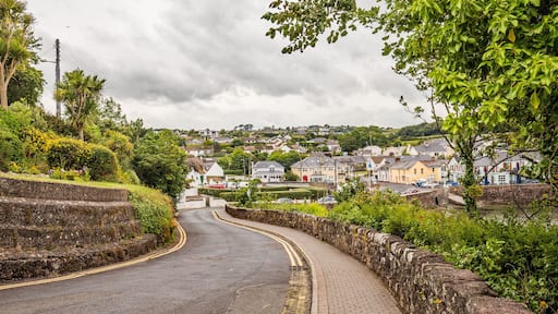 Looking down towards Dunmore East, Ireland