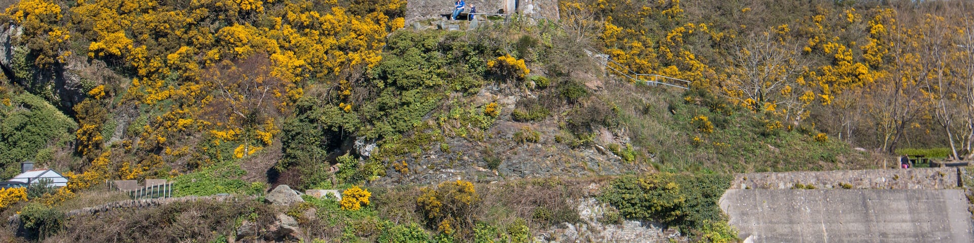 Ferrycarrig Castle (near Wexford) Ireland