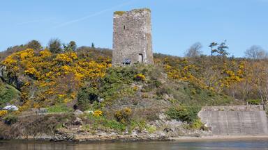 Ferrycarrig Castle (near Wexford) Ireland