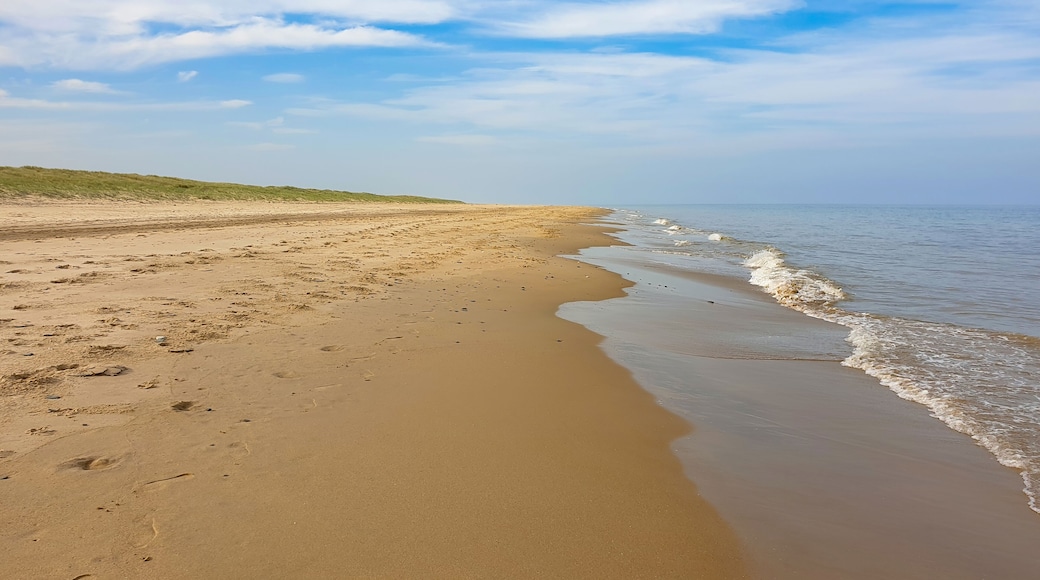 A sandy beach with gentle waves, a grassy dune, and a clear sky.