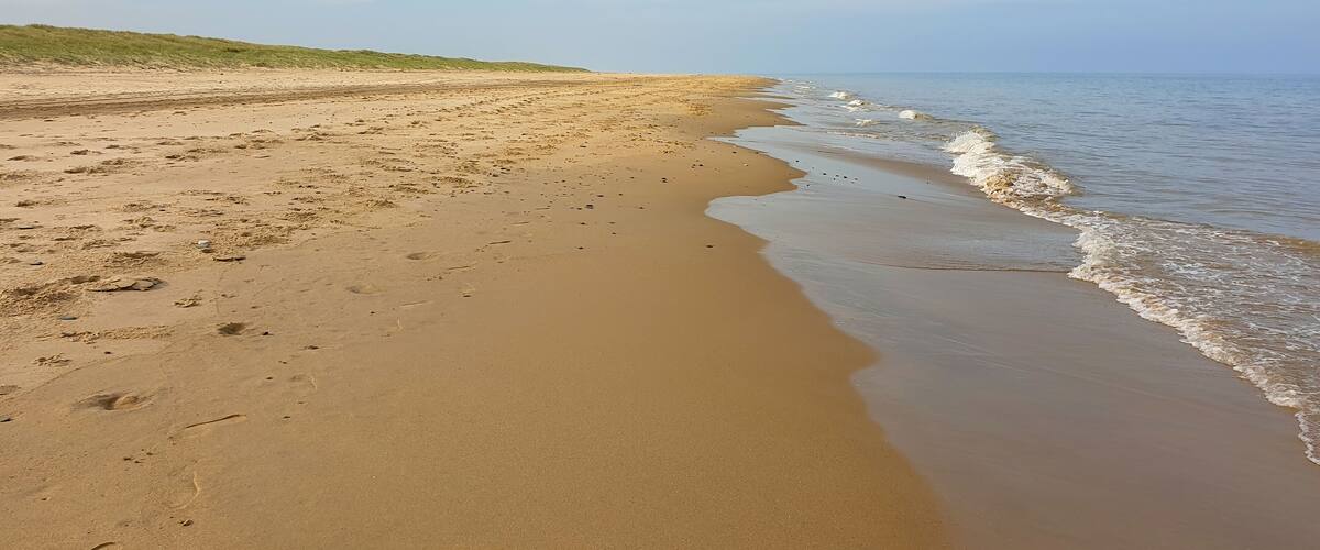 A sandy beach with gentle waves, a grassy dune, and a clear sky.