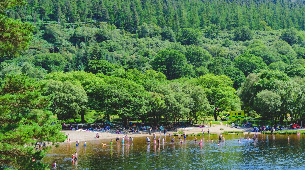 people enjoying in lake and mountain
