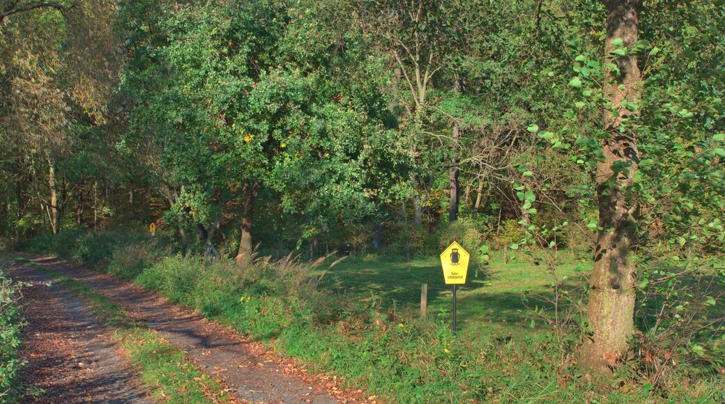 Naturschutzgebiet Winzerwiese und Gosebruch bei Naundörfel