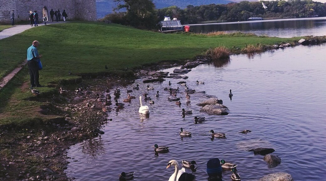 #lifeatexpedia #Ireland #killarney