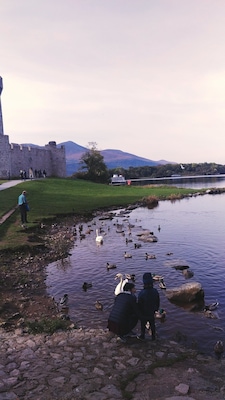 #lifeatexpedia #Ireland #killarney