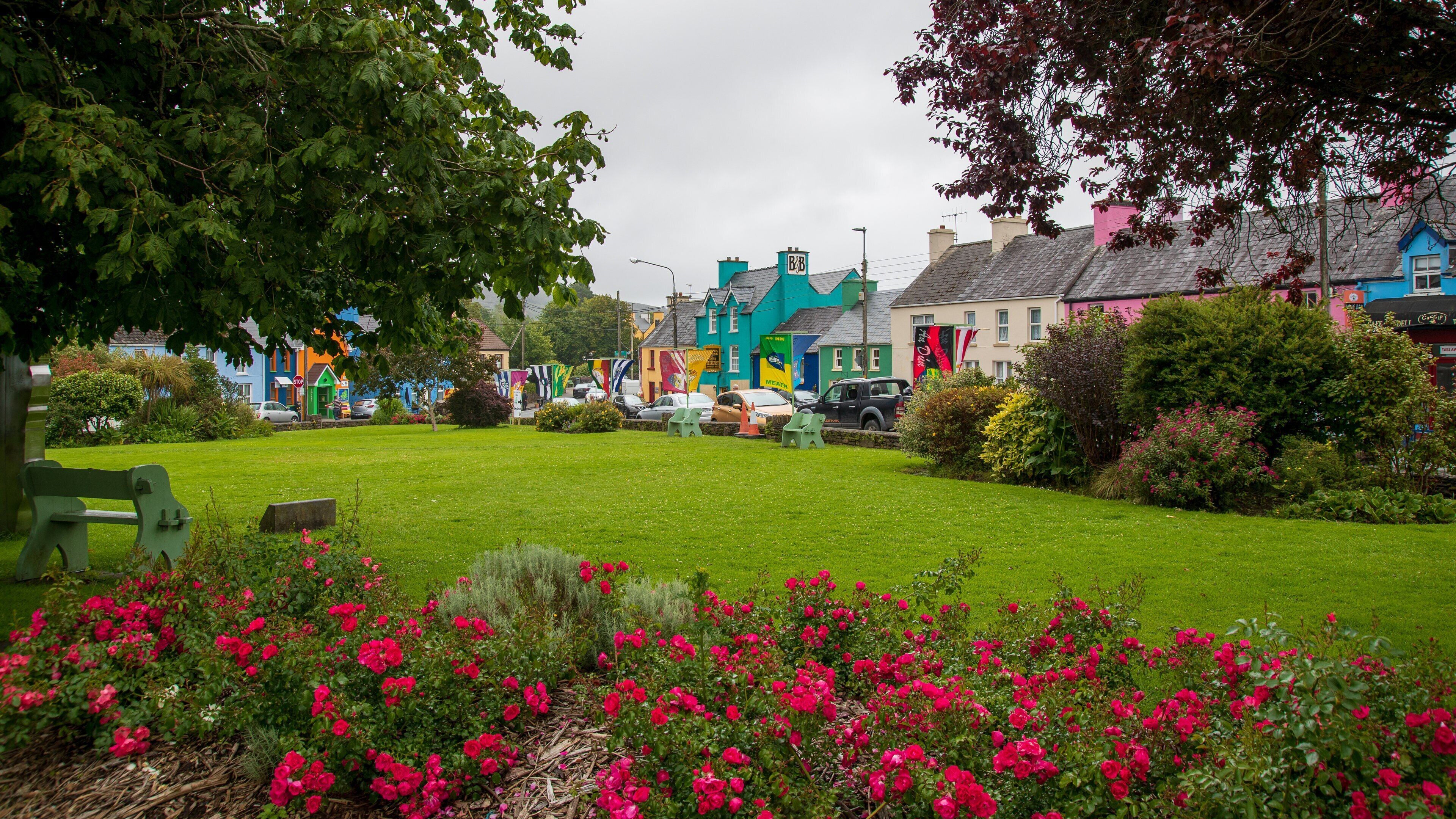 Sneem showing a park and wildflowers