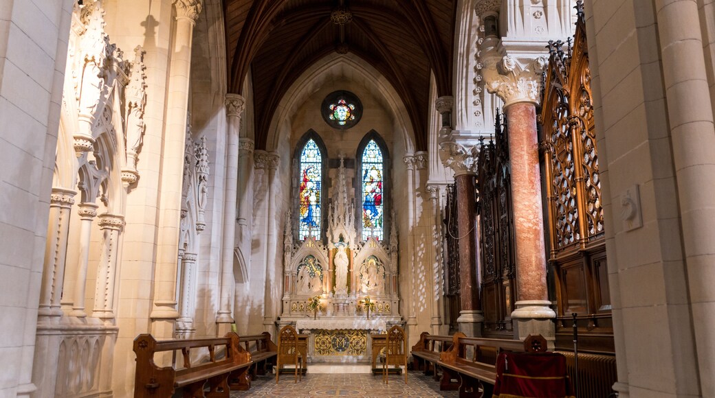 Interier of The neo-gothic Cathedral of St. Colman, usually called in Cobh Cathedral, is a Roman Catholic cathedral in Cobh, Ireland.