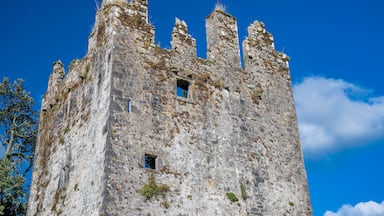 castle ruins, castlemartyr, ireland