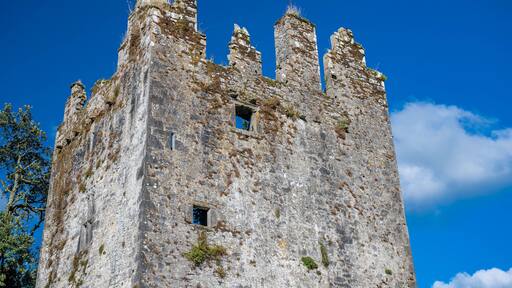 castle ruins, castlemartyr, ireland