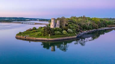 Fota Castle Cork Ireland sunset aerial scenery view reflection blue hour