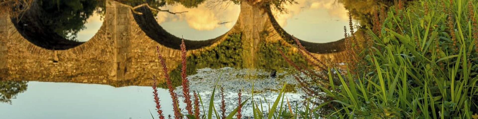 #GoldenHour on the River Lee in Inniscarra, Co. Cork, Ireland. Summer glow on the bridge.