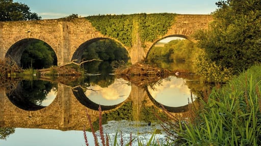 #GoldenHour on the River Lee in Inniscarra, Co. Cork, Ireland. Summer glow on the bridge.