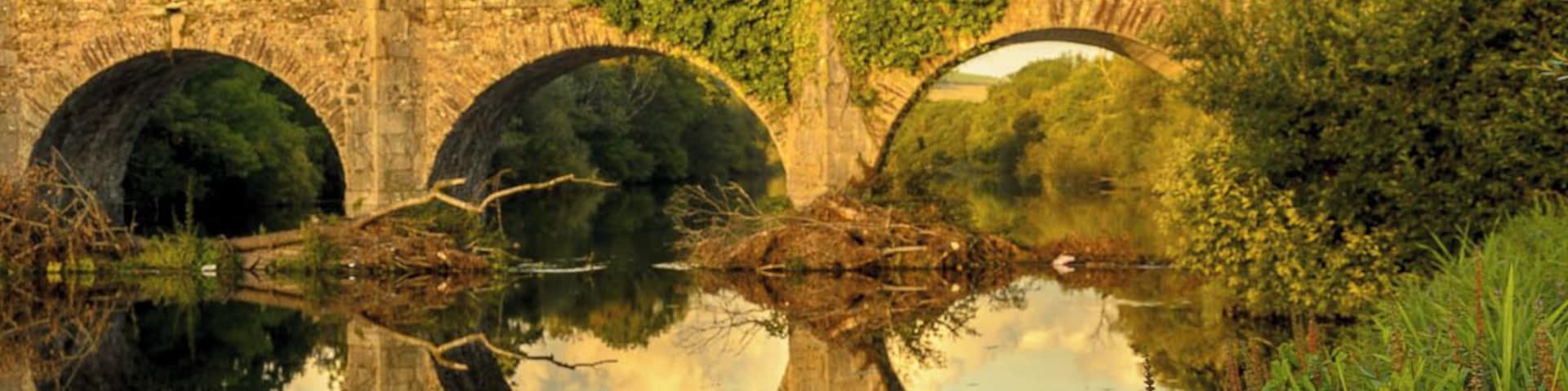 #GoldenHour on the River Lee in Inniscarra, Co. Cork, Ireland. Summer glow on the bridge.