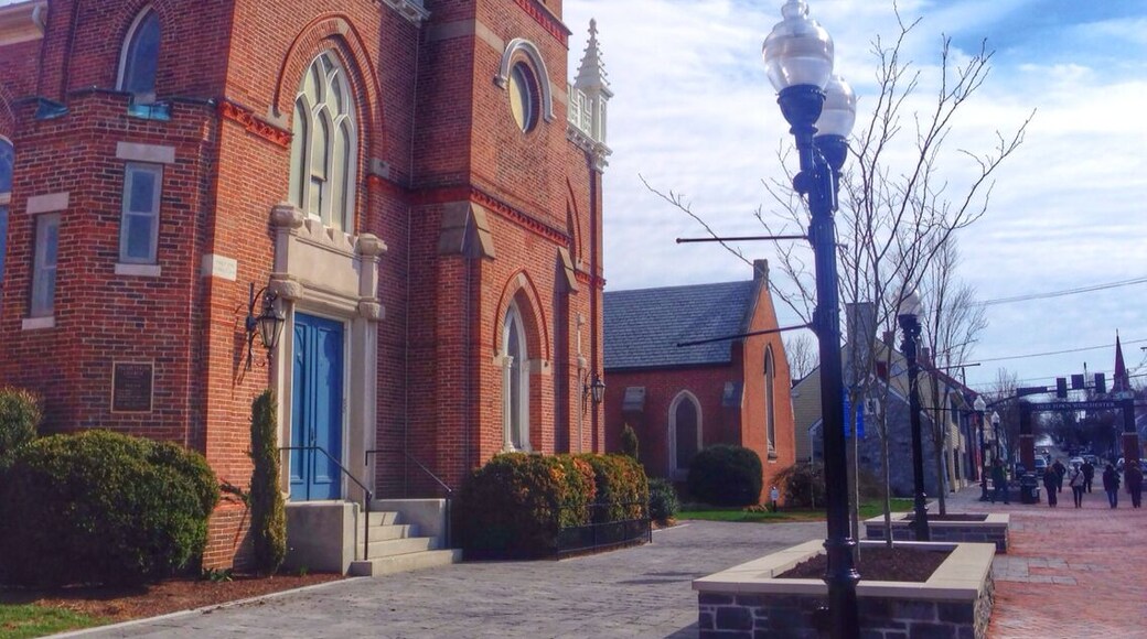 A nice 3 block outdoor downtown shopping area with dining and bars also.