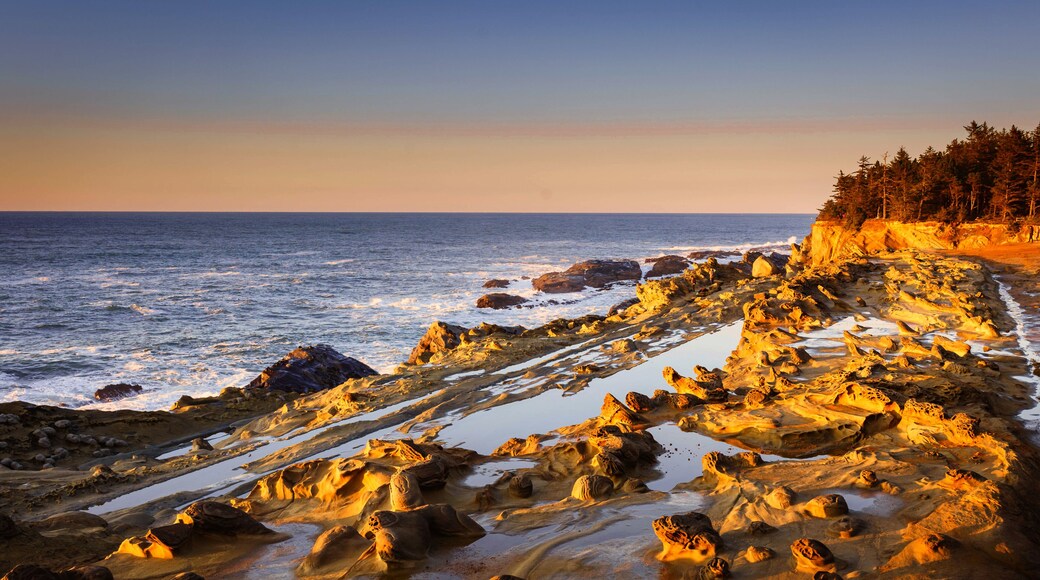 Sunset evening at Shore Acres Winchester Oregon Coast
