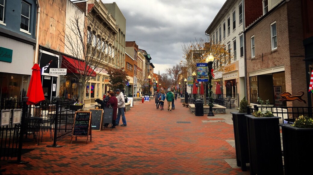 Took a day trip to Old Town Winchester for some shopping on Shop Small Saturday.