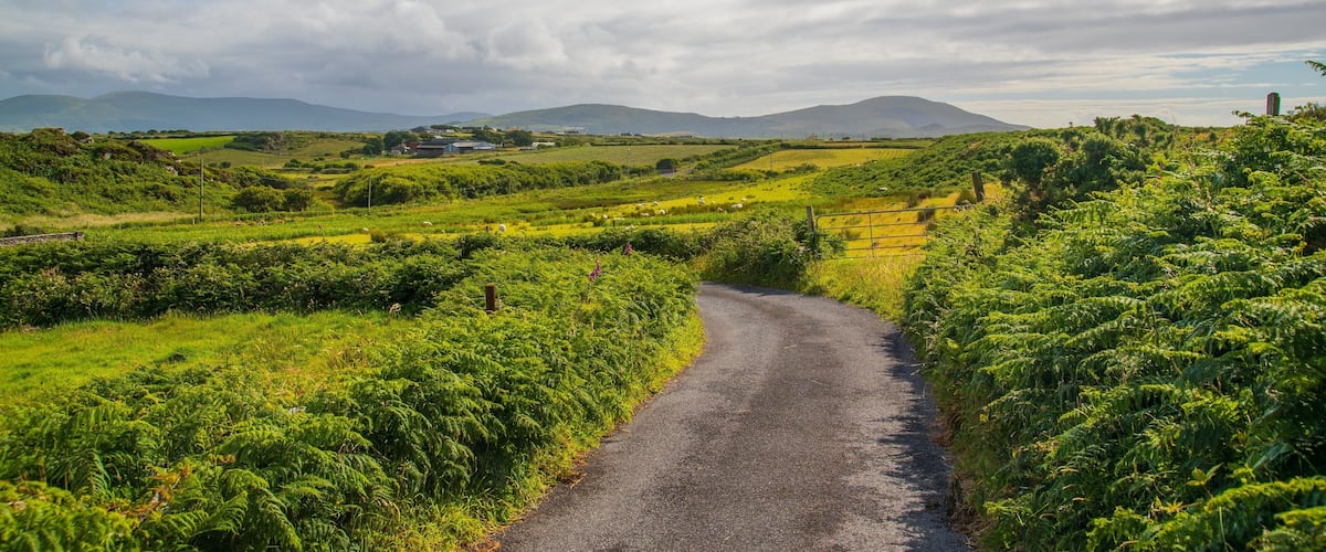 Ring of Kerry showing tranquil scenes
