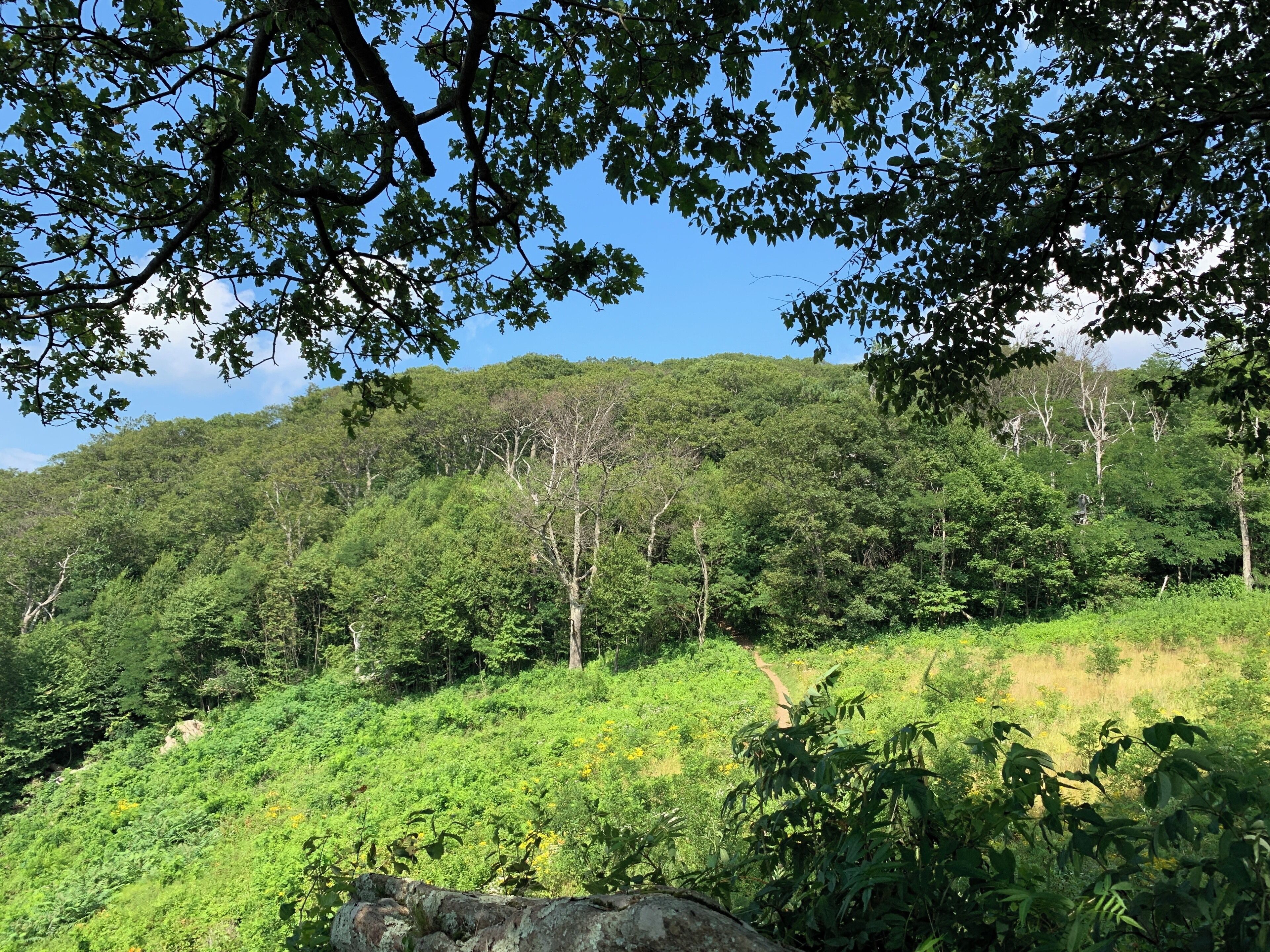Great day hiking around Shenandoah National Park...