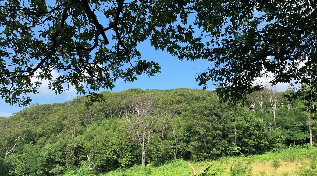 Great day hiking around Shenandoah National Park...