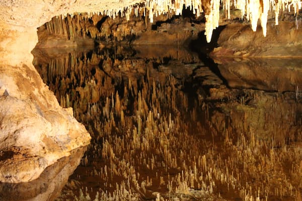 This picture is actually the ceiling and it;s reflection in a very shallow pool. A little touristy, but still a great cavern to explore.