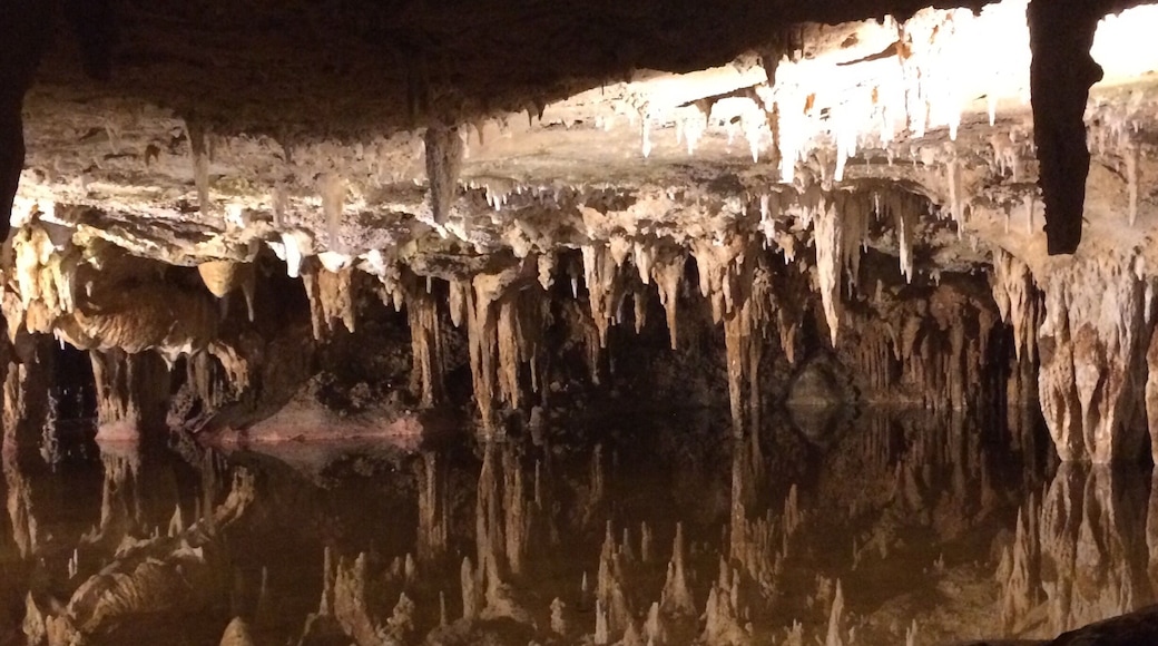 The reflection pond. My inspiration to reflect on my year and the adventures I have been privileged to be apart of. #reflections