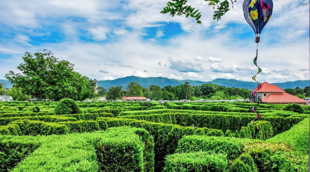 Eight foot tall hedges creating a pathway of puzzlement, misting fog, and endless confusion! Travel past fountains, through hidden tunnels, and over a lookout tower. â
Navigate your way through twists and turns while searching for hidden goals on a mission to discover the secret of the maze.
Unravel the mystery of the largest hedge maze in the Mid-Atlantic states - a one acre ornamental garden at Luray Caverns.
It is a fun filled activity for people of all age groups. The Garden of Maze is right next to the Luray Caverns. So if you plan a trip to see Luray Caverns, you can visit the maze too. Just let loose, get lost and be found at the maze ;)
Tip: The view from the lookout tower is beautiful like this one. Just sit back, take in the beauty and relax here. Also, its fun to see people getting lost in the maze ;P