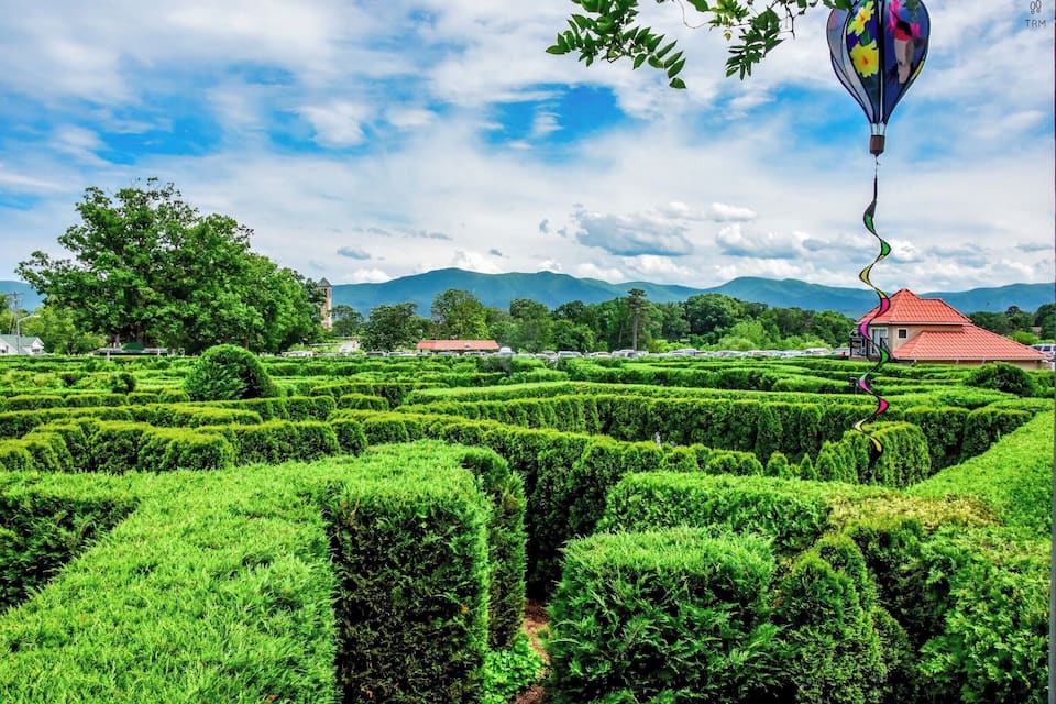 A maze garden with a hot air balloon in the sky.