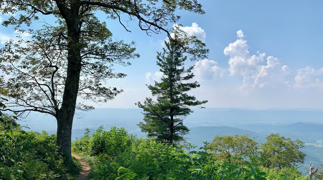 Great day hiking around Shenandoah National Park...