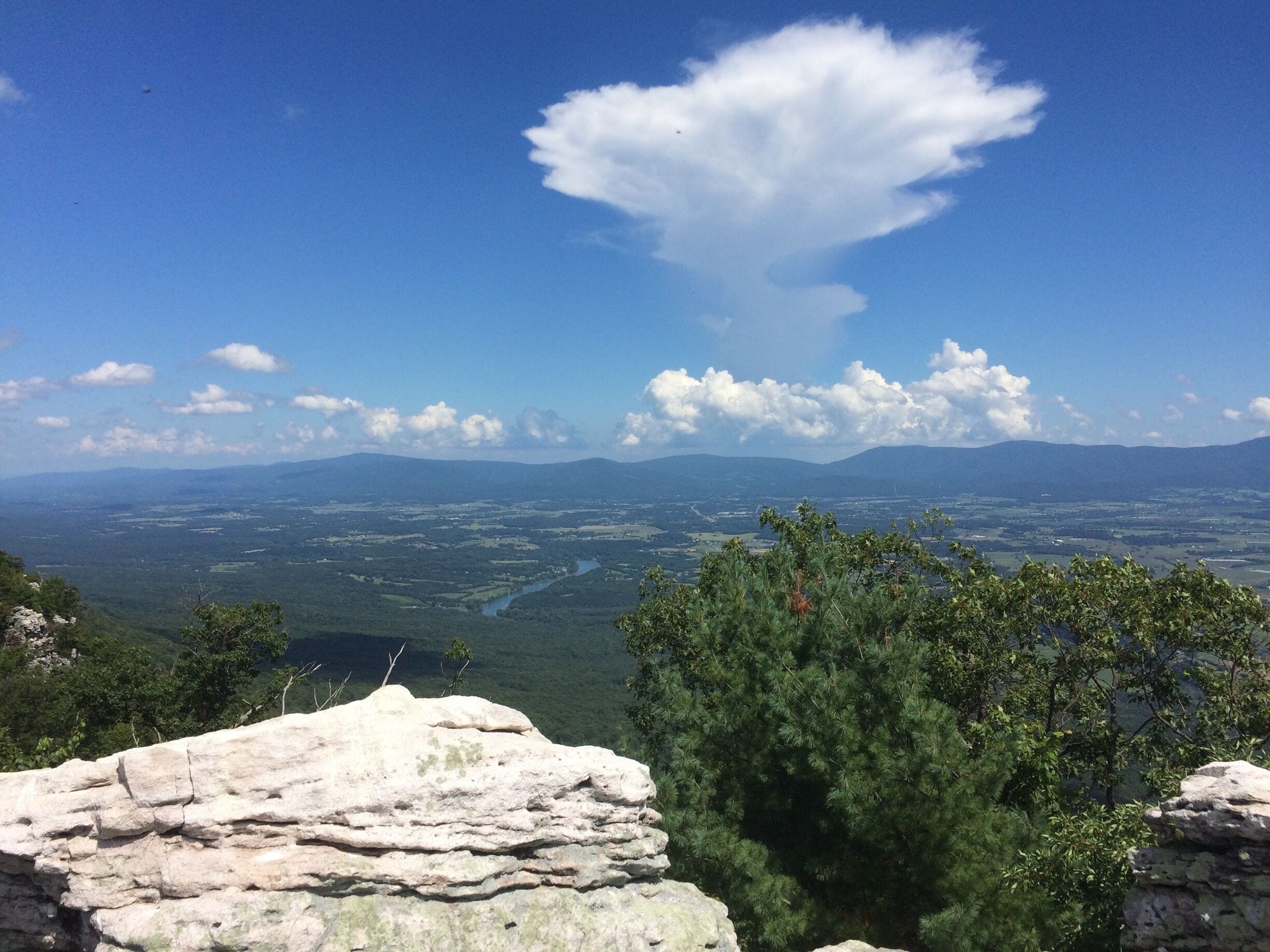 There is so much good hiking in Virginia. This was part of a 9 mile hike with beautiful views and peaceful solitude. #EndlessSummer