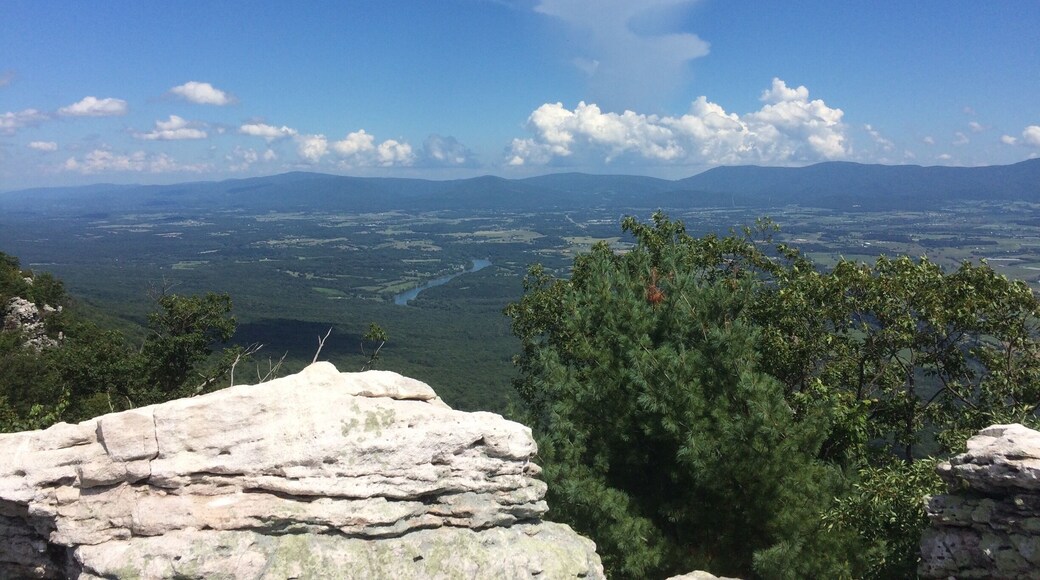 There is so much good hiking in Virginia. This was part of a 9 mile hike with beautiful views and peaceful solitude. #EndlessSummer