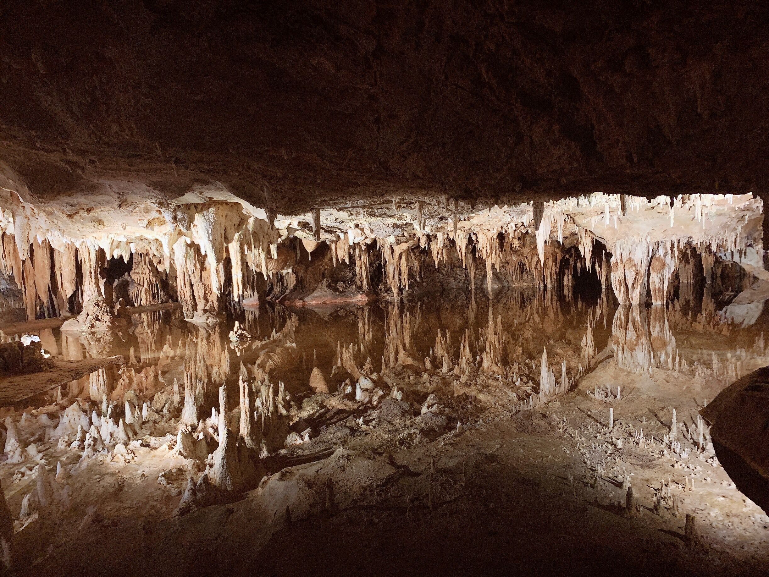 A cave with stalactites and stalagmites, a reflective water surface, and dim lighting.