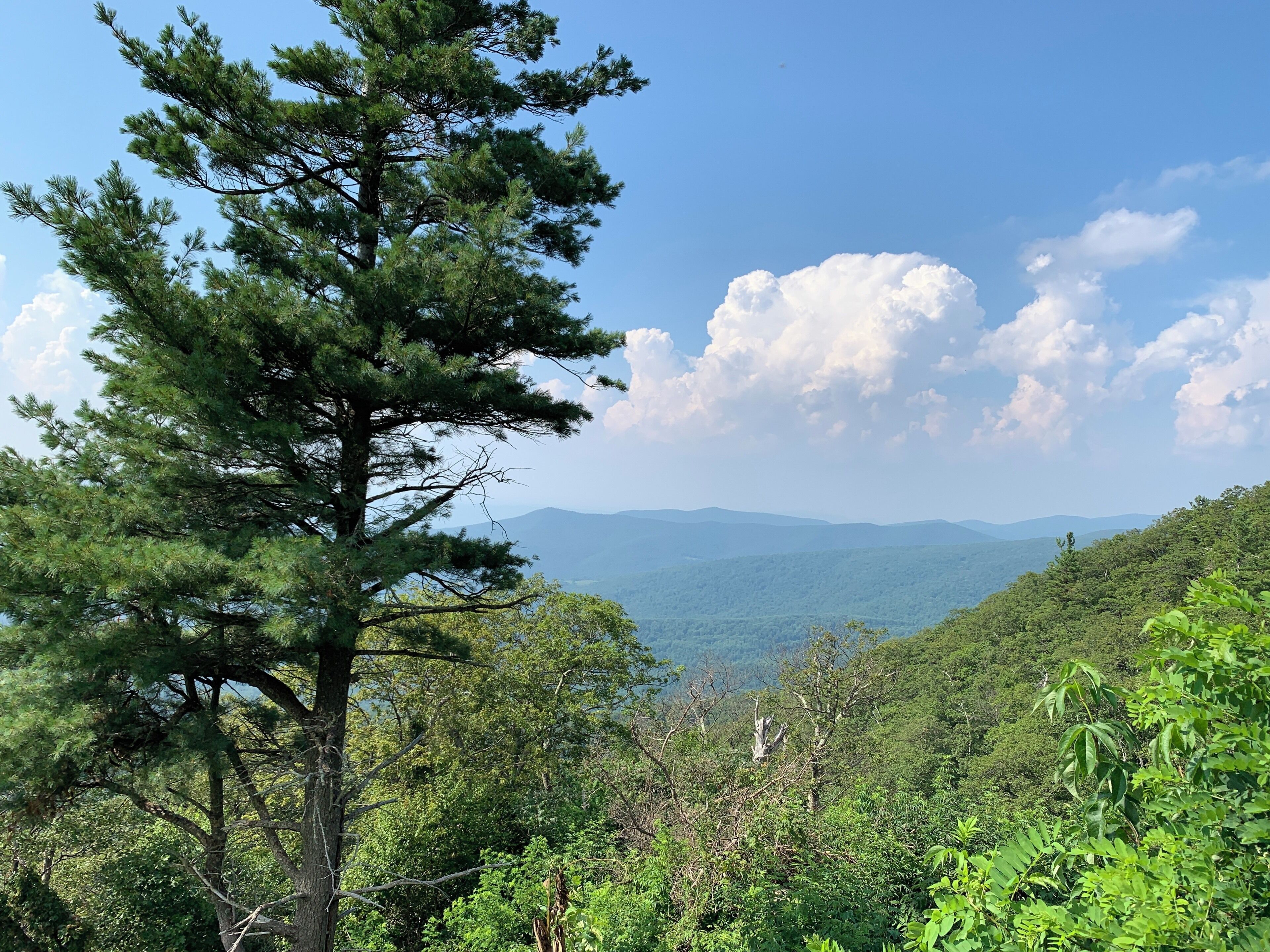 Great day hiking around Shenandoah National Park...