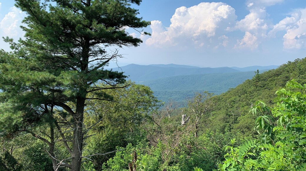Great day hiking around Shenandoah National Park...