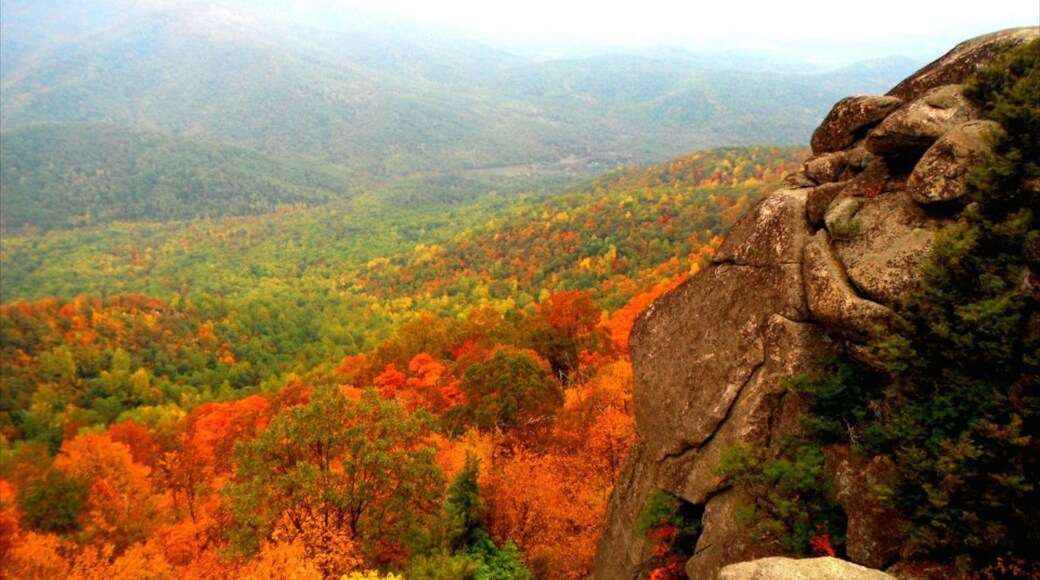 Luray which includes landscape views and fall colors
